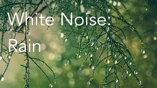 Rain Sounds for Relaxing Focus or Deep Sleep  Nature White Noise  8 Hour Video [upl. by Hsizan]