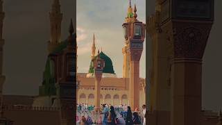 Sare Nabiyun Ke Ohday Bare Hain ❤️✨ naat youtubeshorts short islamicmusic [upl. by Dasteel]