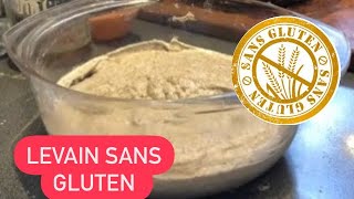 COMMENT FAIRE SON LEVAIN NATUREL À LA FARINE DE SARRASIN  EXPLICATIONS JOUR APRÈS JOUR 🍞😋 [upl. by Ahsener]