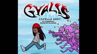 Capella Grey ft TJ Porter amp A Boogie Wit Da Hoodie  Gyalis Remix [upl. by Wat475]