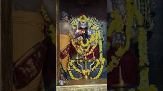 Ganesha Puja temple youtubefamily pujavibes pujashorts youtubeshorts festivalvibes hindu [upl. by Ravi]