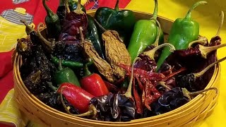 POPULAR MEXICAN CHILES  Knowing Them Is Loving Them  Step By Step ❤ [upl. by Arimahs373]