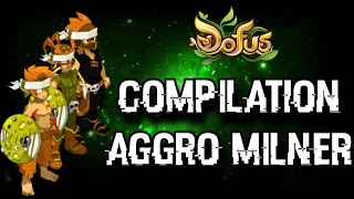 DOFUS 20Min de PvP Milner 14 [upl. by Mays]