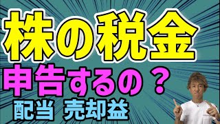 【税金】株を売って利益出たけど、確定申告するの？！ [upl. by Esma]