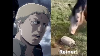 Bertholdt and Reiner Reveal [upl. by Lrub]