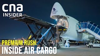 Delivering Fresh Flowers And Fruits Through Air Cargo  Premium Rush Inside Air Cargo Singapore [upl. by Estey]