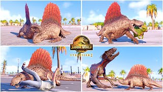 Dimetrodon All Perfect Animations amp Interactions 🦖 Jurassic World Evolution 2 Dominion DLC Pack [upl. by Ardnassak351]