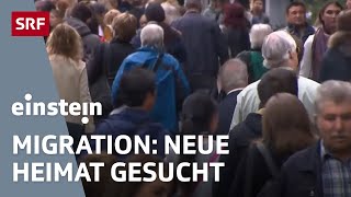 Migration amp Menschenströme – wie die neue Heimat Gesellschaften beeinflusst  Einstein  SRF [upl. by Nottus]