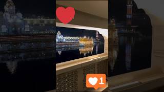 patna sahib live 😍elvishyadavmahirasharma video maxternvideoshortsshortsfeedviralshorts [upl. by Nirrol]