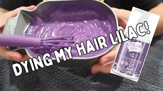 Dying My Hair Lilac [upl. by Eppie663]