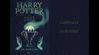 HARRY POTTER E O CÁLICE DE FOGO  CAP 2 A CICATRIZ  J K ROWLING AUDIOBOOK [upl. by Trever]