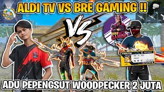 ALDI TV VS BRE GAMING  MENEGANGKAN LAWAN RAJA PEPENGSUT [upl. by Eissirc]