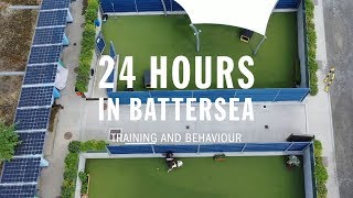 Training and Behaviour  24 Hours In Battersea [upl. by Ahtera]