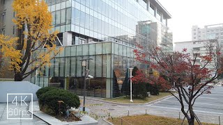 walking around Korea Seoul hankuk university of foreign studies campus walking around 4k korea view [upl. by Earle]