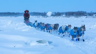 2017 Kuskokwim 300 visits Kalskag [upl. by O'Driscoll]