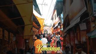 Kamakhya Devi Mandir Shortsfeed KamakhyaDevi Viral [upl. by Ayikat]