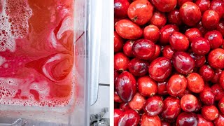 COLD PRESSED CRANBERRY JUICE RECIPE [upl. by Yeliak107]