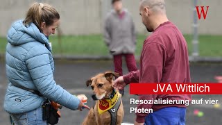 JVA Wittlich Resozialisierung auf Pfoten [upl. by Berne]