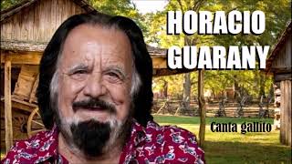 Horacio Guarany 23 exitos enganchados [upl. by Zil]