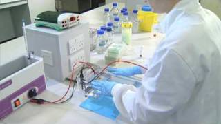 Running an Agarose Gel  University of Leicester [upl. by Yelak25]