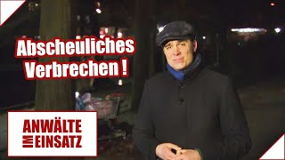 ANGRIFF auf Obdachlose 😱​😡 quotAn FEIGHEIT nicht zu überbietenquot  12  Anwälte im Einsatz  SAT1 [upl. by Nwahsir855]