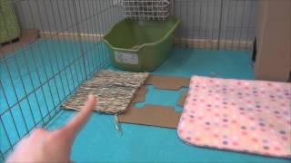 How to set up your rabbits cage [upl. by Gustaf]