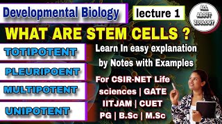 STEM CELLS amp THEIR TYPES  MSc Classes  Developmental Biology CSIRNET LIFE SCIENCES GATE [upl. by Ddat]