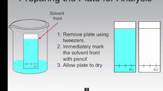 Thin Layer Chromatography  Performing an Analysis [upl. by Neehcas]