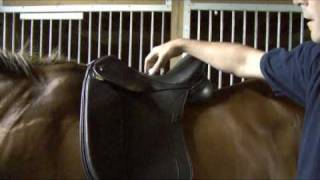 Saddle Fitting in 9 Steps  Step 1  Balance  by Schleese Saddlery Service [upl. by Htrap]