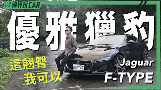 JAGUAR FTYPE P300 RDYNAMIC │ 優雅獵豹 [upl. by Soma]