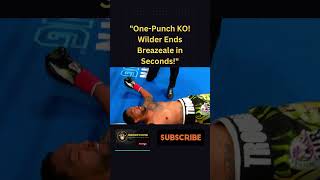 Wilder’s 1st Round Destruction of Breazeale Pure Power [upl. by Piscatelli]