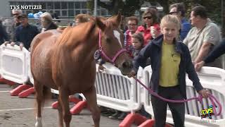 Asso il 5 e 6 ottobre la 41° Festa del Cavallo e la cerimonia del Gemellaggio [upl. by Neesay]