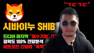 시바이누 SHIB 긴급 드디어 quot때가 온건가quot 정확도 100 전망분석 비트코인 간밤에 quot폭락quot 도미넌스 하락 시작 코인시황 [upl. by Yeoj841]