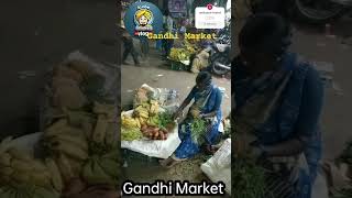 Gandhi Market night scene [upl. by Emrich]