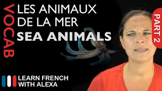 Sea Animals in French Part 2 basic French vocabulary from Learn French With Alexa [upl. by Ettennahs]