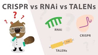 Gene Silencing Methods CRISPR vs TALENs vs RNAi [upl. by Atsed509]