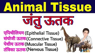 animal tissue  jantu utak  jantu utak ke prakar  animal tissues class 9 amp 11 in hindi  जंतु ऊतक [upl. by Meijer]