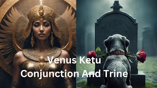 Venus Ketu Conjunction And Trine In Vedic Sidereal Astrology [upl. by Doomham]