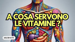 Le Funzioni Delle Vitamine sul Corpo [upl. by Azalea]