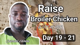 Day 1921 How to Raise Broiler Chicken at home [upl. by Nerua993]