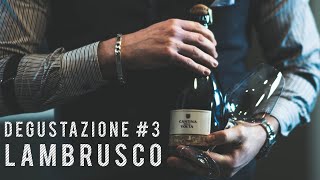 Degustazione Lambrusco 3  Cantina della Volta  Spumante quotRimossoquot 2016 [upl. by Layap348]