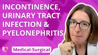 Incontinence Urinary Tract Infection amp Pyelonephritis  MedicalSurgical  Renal  LevelUpRN [upl. by Sdlonyer]