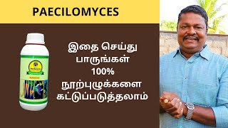 Biological Method of Nematode Control Using Paecilomyces உயிரிய முறையில் நூற்புழு கட்டுப்பாடு [upl. by Eeryk]