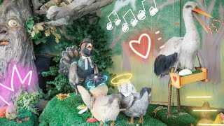 Die Vogelhochzeit im Freizeitpark Schloss Beck  Kinderlieder zum Mitsingen  Nursery Rhymes [upl. by Restivo78]