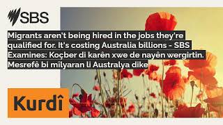 Migrants arent being hired in the jobs theyre qualified for Its costing Australia billions [upl. by Ahsillek]