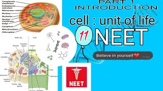 cell unit of life class 11 th neet part 1 [upl. by Tnomed505]