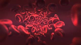 Blood cell  Element 3D Test [upl. by Eiten69]