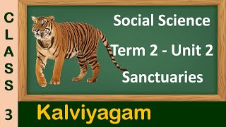 Sanctuaries  Class 3 Sanctuaries  Class 3 Social Science Term 2 Unit 2  Kalviyagam  TN Syllabus [upl. by Wun]