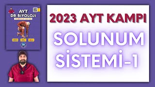 Solunum Sistemi1 AYT Biyoloji Kampı Konu Anlatımı 11Sınıf 2024 Tayfa [upl. by Mackintosh]