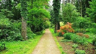 Uczta dla wszystkich zmysłów  maj w Arboretum Rogów 2014 [upl. by Ylrebmi]